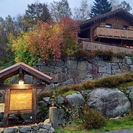 Chalet Typique Vosgien "Les Barbotines" فينترون المظهر الخارجي الصورة