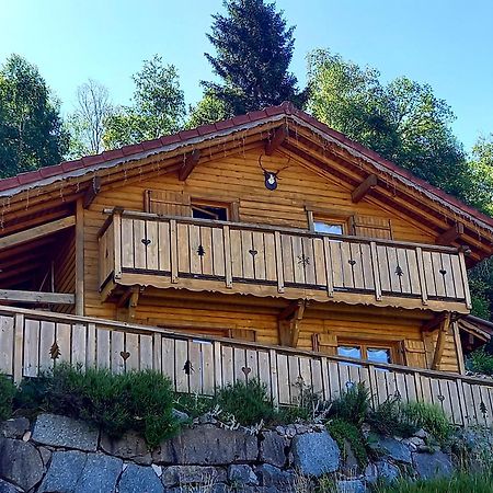 Chalet Typique Vosgien "Les Barbotines" فينترون المظهر الخارجي الصورة