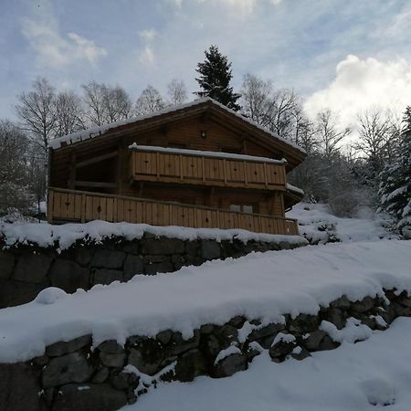 Chalet Typique Vosgien "Les Barbotines" فينترون المظهر الخارجي الصورة