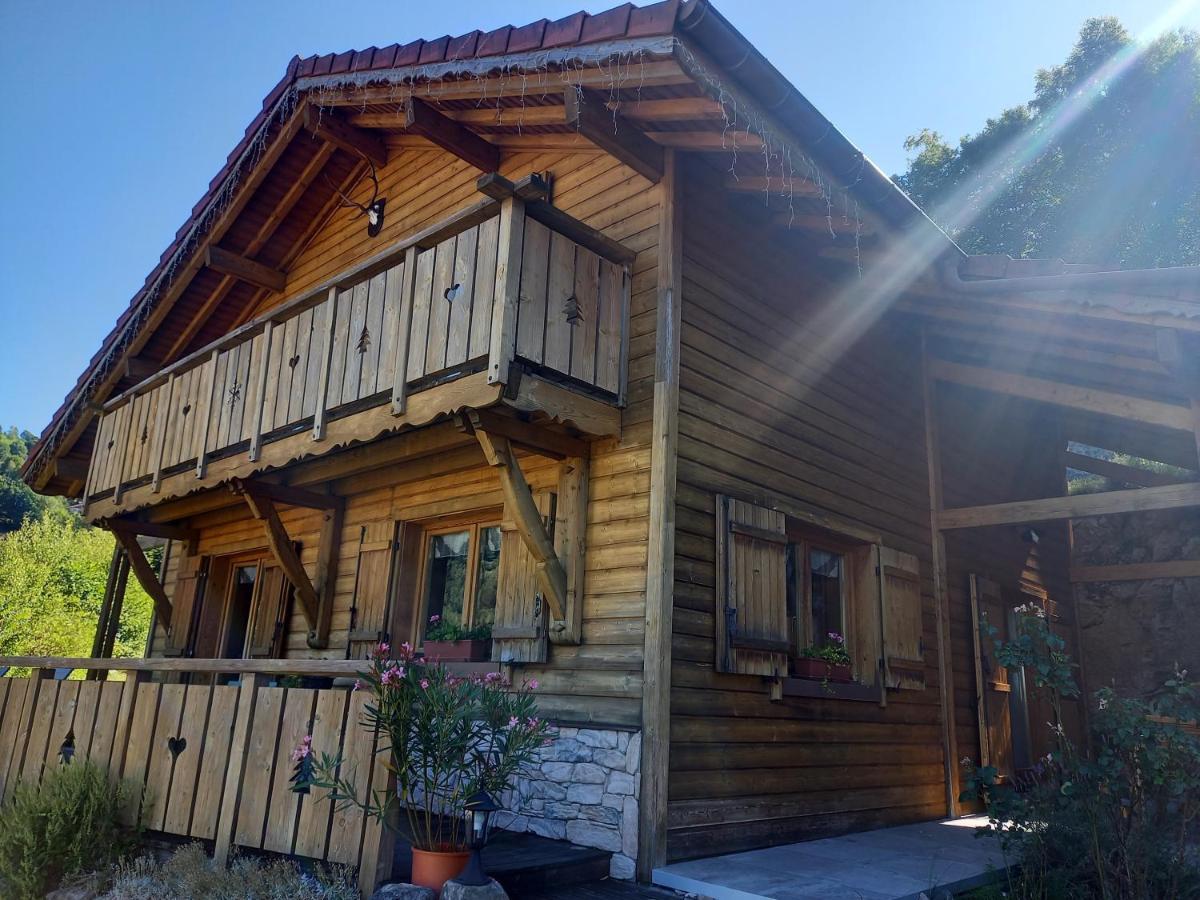 Chalet Typique Vosgien "Les Barbotines" فينترون المظهر الخارجي الصورة
