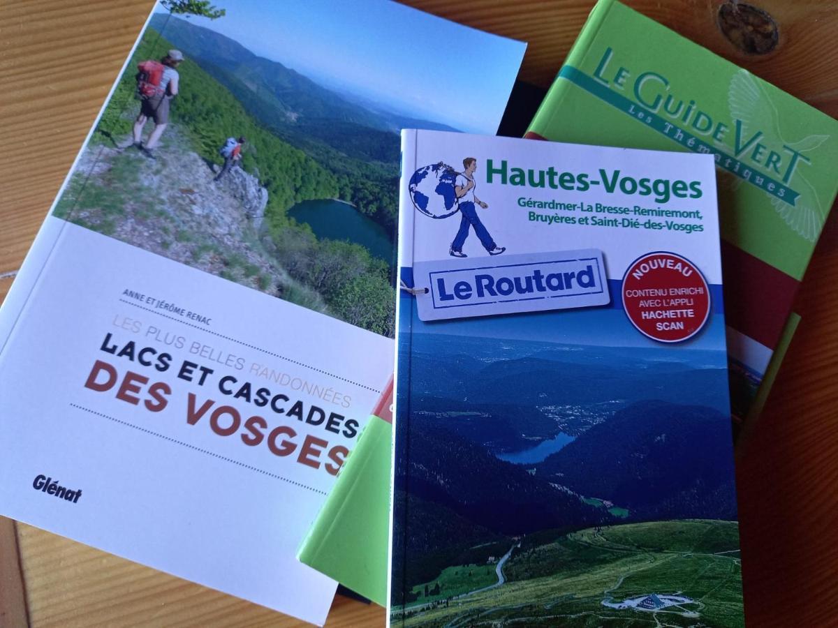 Chalet Typique Vosgien "Les Barbotines" فينترون المظهر الخارجي الصورة
